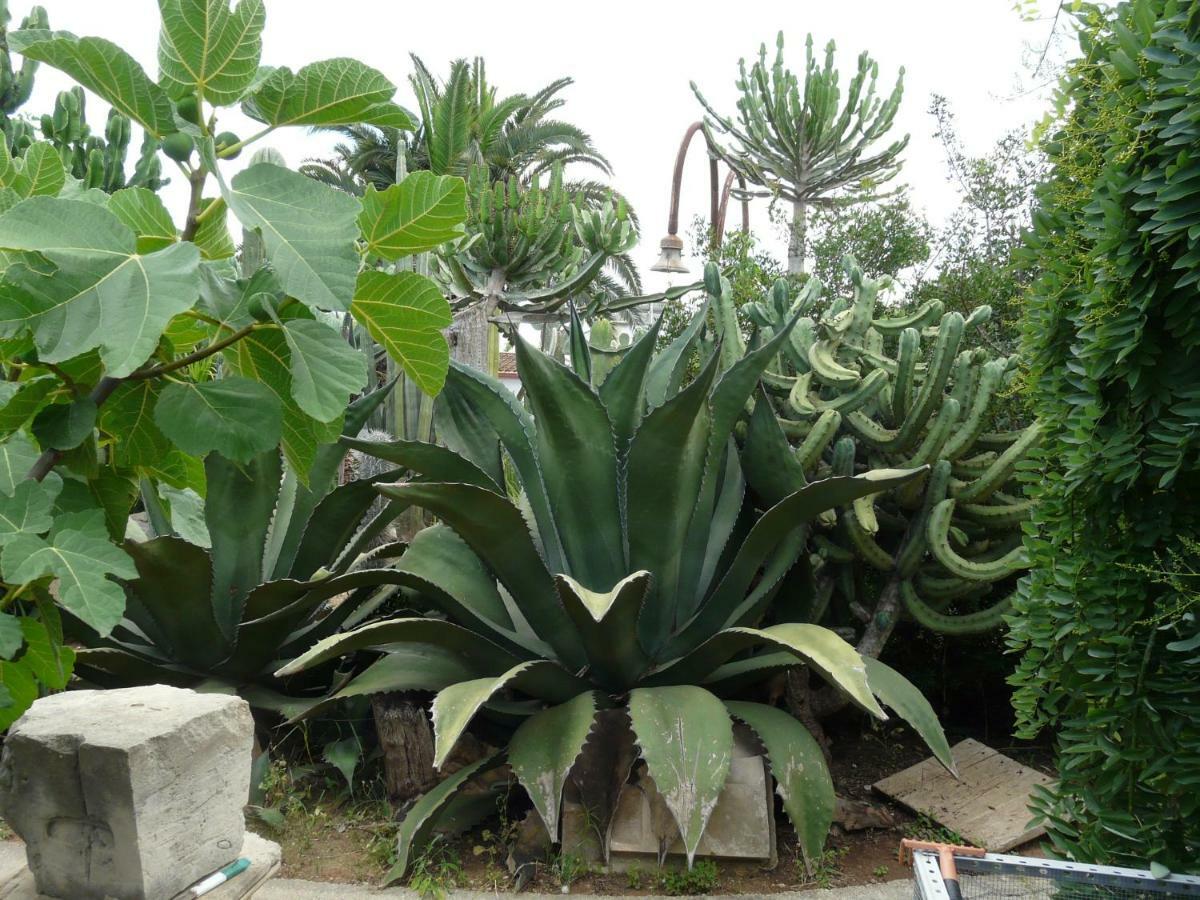 Villa Yucca Avola Exterior photo